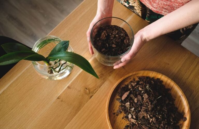 What plants should I not give coffee grounds to